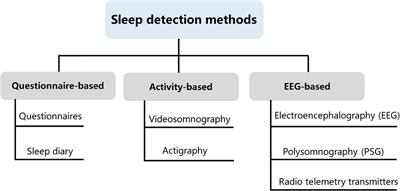 Sleep Disorders in Children With Autism Spectrum Disorder: Insights From Animal Models, Especially Non-human Primate Model